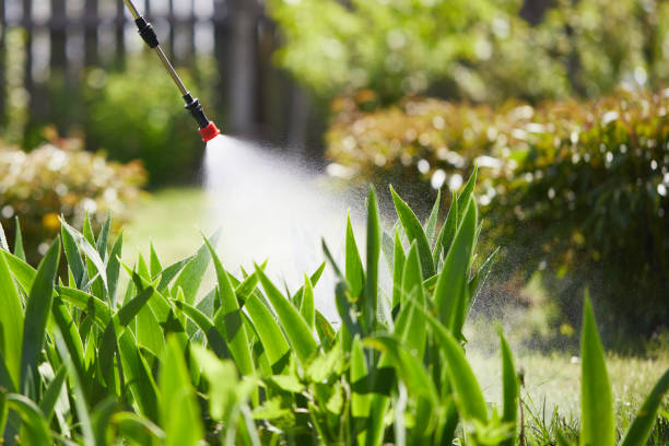 24/7 Emergency Mosquito Control experts in Warren, IN